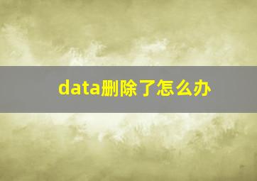 data删除了怎么办