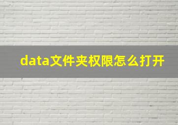 data文件夹权限怎么打开