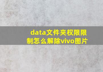 data文件夹权限限制怎么解除vivo图片