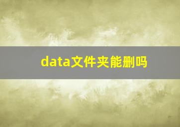 data文件夹能删吗