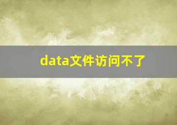 data文件访问不了