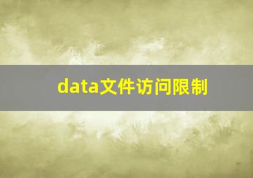 data文件访问限制