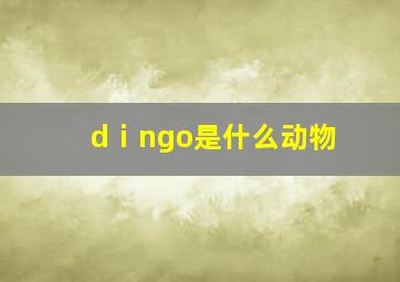 dⅰngo是什么动物