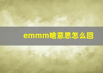 emmm啥意思怎么回