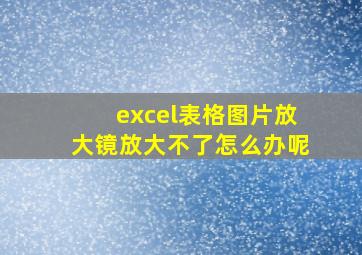 excel表格图片放大镜放大不了怎么办呢