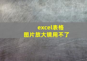 excel表格图片放大镜用不了