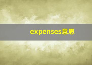 expenses意思