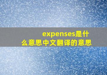 expenses是什么意思中文翻译的意思