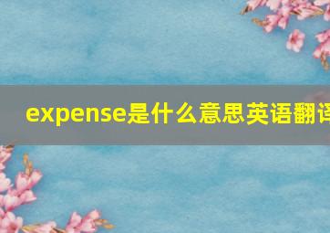 expense是什么意思英语翻译