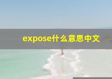 expose什么意思中文