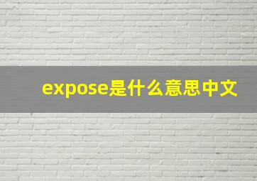 expose是什么意思中文