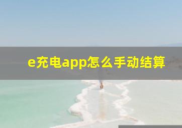 e充电app怎么手动结算