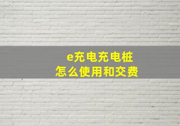 e充电充电桩怎么使用和交费