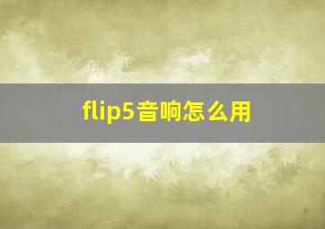 flip5音响怎么用