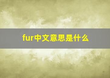 fur中文意思是什么