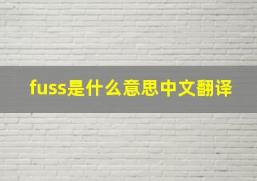 fuss是什么意思中文翻译