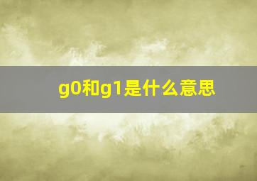 g0和g1是什么意思