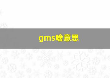 gms啥意思