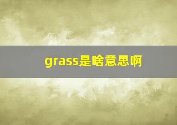 grass是啥意思啊