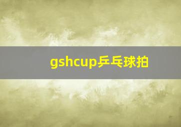 gshcup乒乓球拍