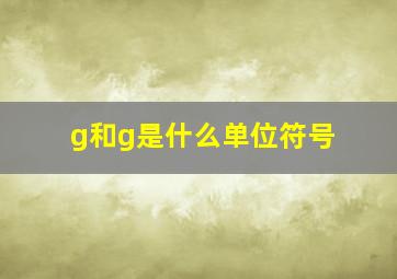 g和g是什么单位符号