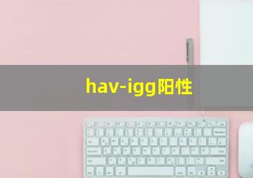 hav-igg阳性