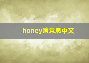 honey啥意思中文