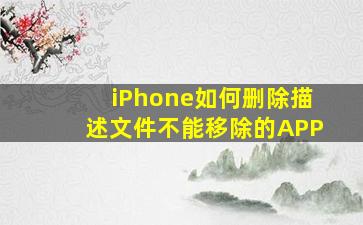 iPhone如何删除描述文件不能移除的APP