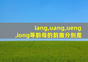 iang,uang,ueng,iong等韵母的韵腹分别是