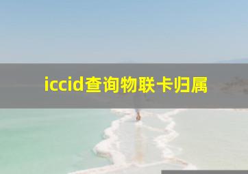 iccid查询物联卡归属