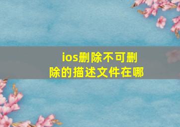 ios删除不可删除的描述文件在哪