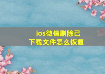 ios微信删除已下载文件怎么恢复