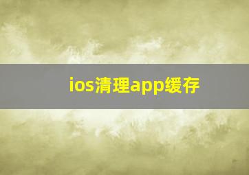 ios清理app缓存