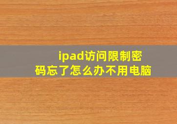 ipad访问限制密码忘了怎么办不用电脑