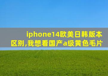 iphone14欧美日韩版本区别,我想看国产a级黄色毛片