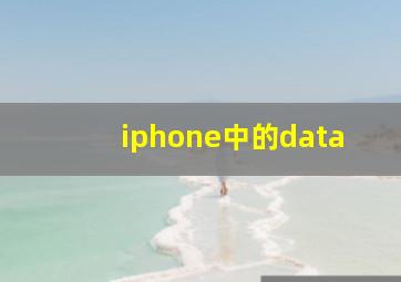 iphone中的data