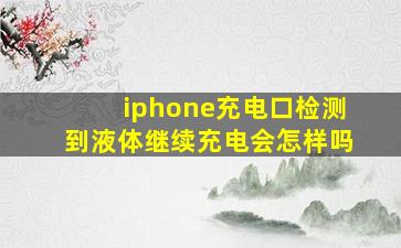 iphone充电口检测到液体继续充电会怎样吗