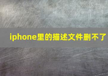 iphone里的描述文件删不了