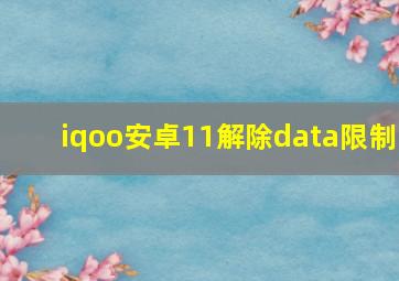 iqoo安卓11解除data限制