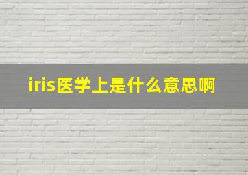 iris医学上是什么意思啊