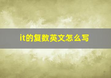 it的复数英文怎么写