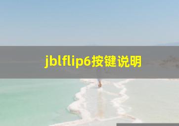 jblflip6按键说明