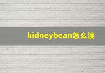 kidneybean怎么读