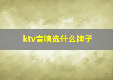 ktv音响选什么牌子