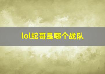 lol蛇哥是哪个战队