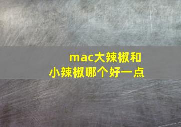 mac大辣椒和小辣椒哪个好一点