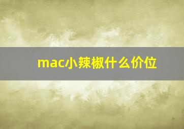 mac小辣椒什么价位