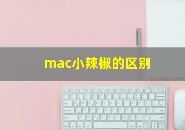 mac小辣椒的区别