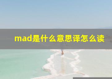 mad是什么意思译怎么读