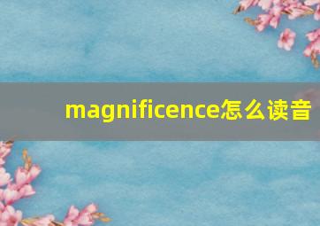 magnificence怎么读音